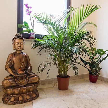 Zen House Ostello Budapest Esterno foto
